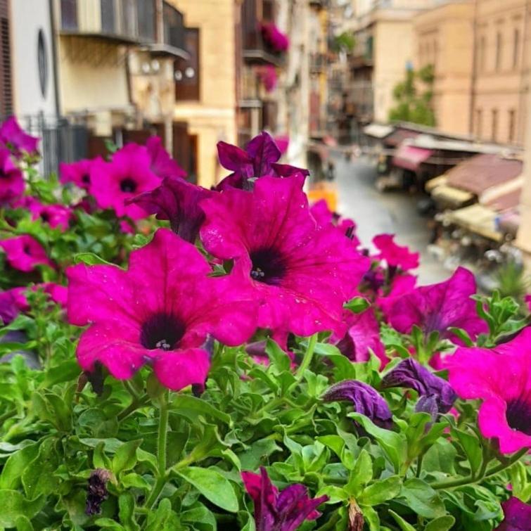 Il Rosone Luxury B&B Palermo Kültér fotó